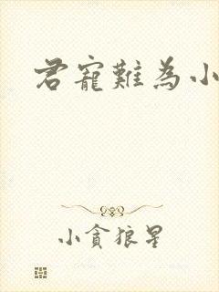 君宠难为小说封面