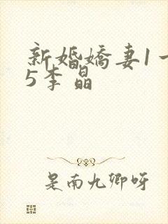 新婚娇妻1一25李晶封面