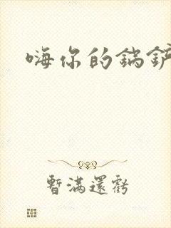 嗨你的锅铲封面