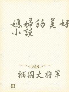 媳妇的美好时代小说