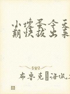 小坏蛋今天危险期快拔出来