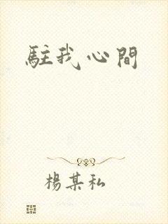 驻我心间封面