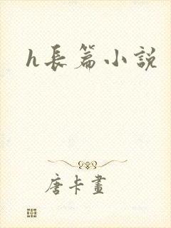 h长篇小说封面