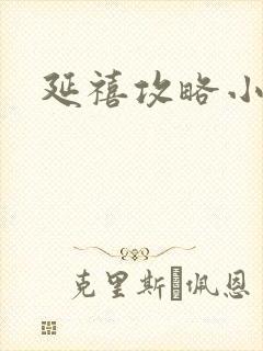 延禧攻略小说封面