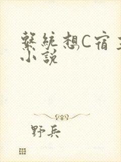 系统想C宿主的小说
