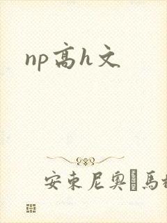 np高h文