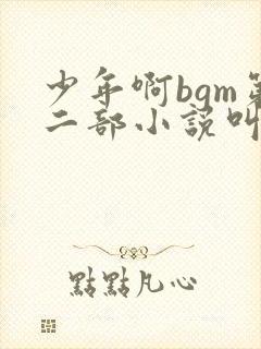 少年啊bgm第二部小说叫什么封面