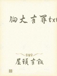 胸大有罪txt
