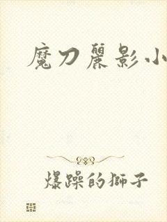 魔刀丽影小说