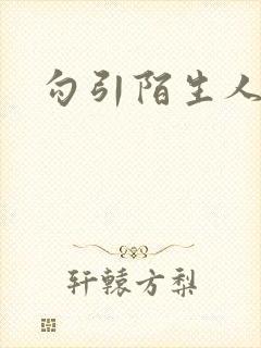 勾引陌生人封面