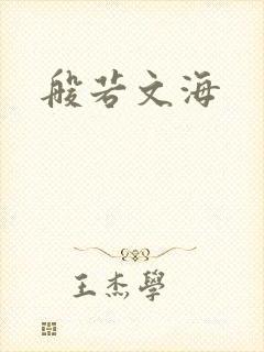 般若文海封面