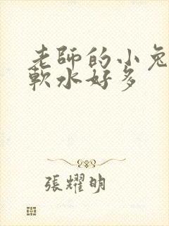 老师的小兔子好软水好多