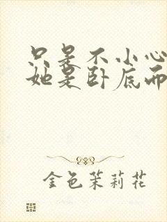 只是不小心发现她是卧底而已