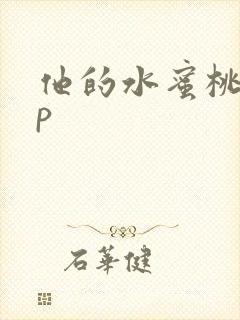 他的水蜜桃pop封面