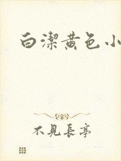 白洁黄色小说