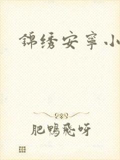 锦绣安宁小说