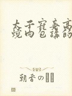 太子宠妾高肉红烧肉包讲的什么