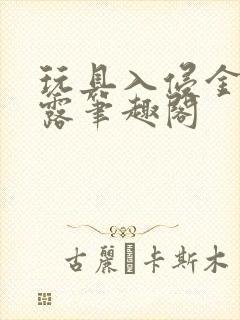 玩具入侵金银花露笔趣阁封面