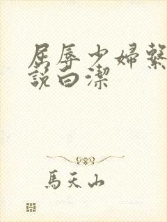 屈辱少妇系列小说白洁封面