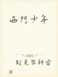 西门少年封面