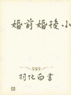 婚前婚后小说