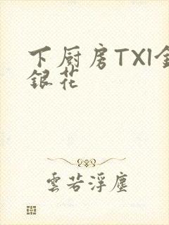 下厨房TXl金银花封面