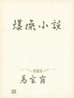 爆操小说