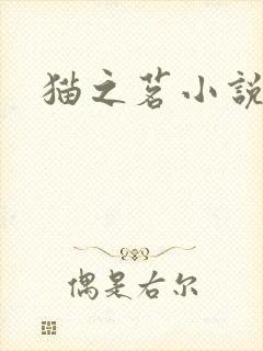 猫之茗小说