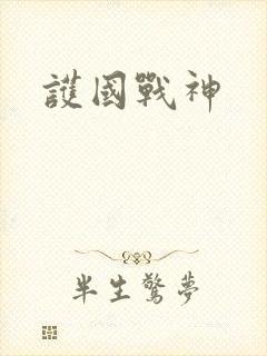 护国战神封面