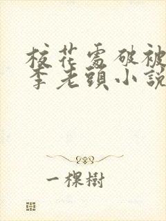 校花处破被灌满李老头小说