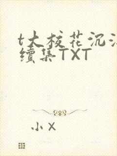 t大校花沉浮录续集TXT