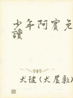 少年阿宾免费阅读