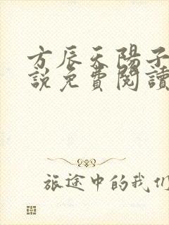 方辰天阳子的小说免费阅读