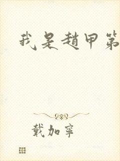 我是赵甲第小说