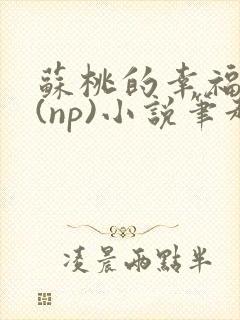 苏桃的幸福生活(np)小说笔趣阁