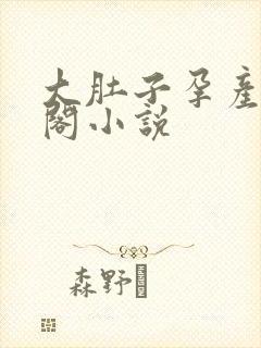 大肚子孕产笔趣阁小说