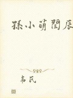 孙小萌闫辰封面