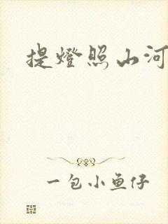 提灯照山河封面
