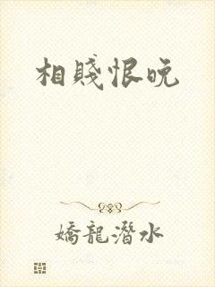 相贱恨晚封面