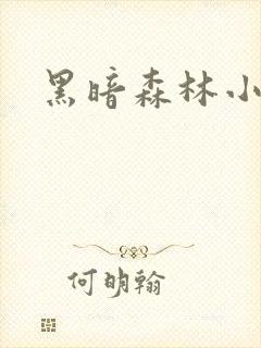 黑暗森林小说