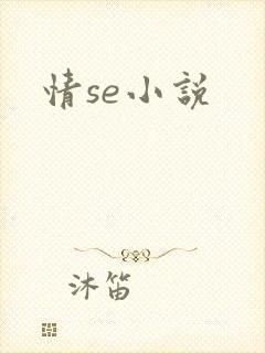 情se小说