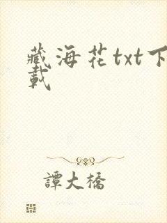 藏海花txt下载