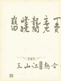 巅峰龙主丁长顺田晓兰免费阅读