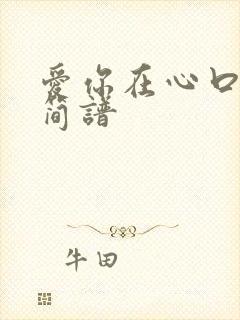 爱你在心口难开简谱封面