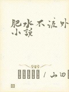肥水不流外人田小说