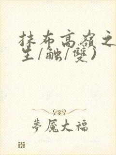 抹布高岭之花(生/触/双)