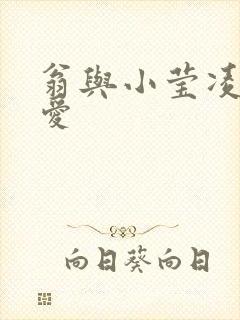 翁与小莹凌晨欢爱