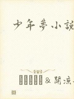 少年梦小说