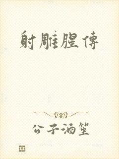 射雕腥传封面