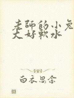 老师的小兔子好大好软水